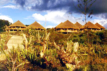 The Baliem Valley Resort