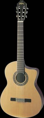 Washburn C64CE