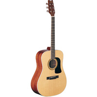 D10S Acoustic Guitar