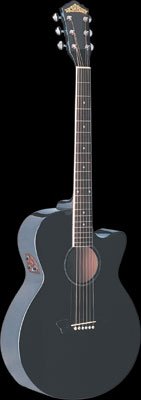 Washburn EA16