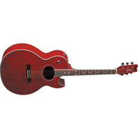 EA17 Electro Acoustic Natural