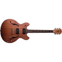 Washburn HB32DM Hollow Body Series Electric Guitar