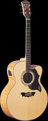 Washburn J28SCEDL