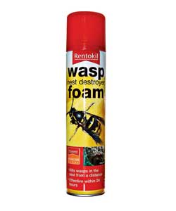 Wasp Nest Destroyer Foam