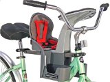 WeeRide NEW GREY 2009 WeeRide Kangaroo Child Bike Seat