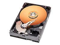 Western Digital 80Gb 7200RPM HDD Retail