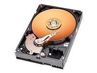 Caviar 120Gb 2Mb Cache 7200RPM HDD OEM