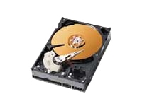 Western Digital Caviar 250Gb 5400RPM HDD OEM