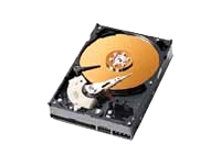 Western Digital Caviar 250Gb 8Mb Cache Hard Disk Drive ATA 100