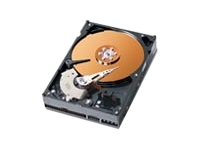 Caviar 320GB 8Mb Cache 7200RPM IDE HDD OEM