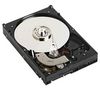 Caviar Blue 80 GB Hard Drive - 7200 rpm - 8 MB -