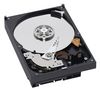 WESTERN DIGITAL RE2-GP WD7500AYPS Hard Drive - 3.5` - 750 GB -