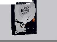 WESTERN DIGITAL WD Caviar Black WD7501AALS