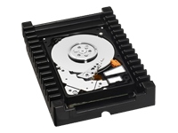 WESTERN DIGITAL WD VelociRaptor WD3000HLFS Server Hard Drive