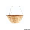 12` inches Dragon Hanging Basket