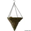 Square Mountain Grass Cone 14`