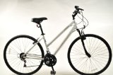 Wheels2ride Ventura A2B Ladies 19` Hybrid Mountain Bike