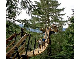 Tree Trek Canopy Walk - Child