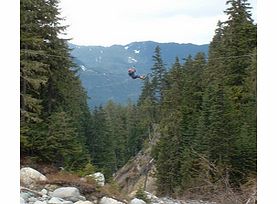 Whistler Zip Trek Bear Tour - Child