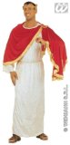 WIDMANN MENS CAESAR COSTUME SIZE XL