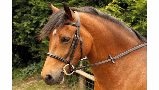 Windsor Equestrian Products Windsor Equestrian Horses Bridle Black Cob