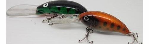 wlw Twin Pack Fishing Bate Fish Lure kit