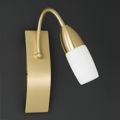 Wofi Lighting New Jersey Low Energy Brass Flexible Wall Light