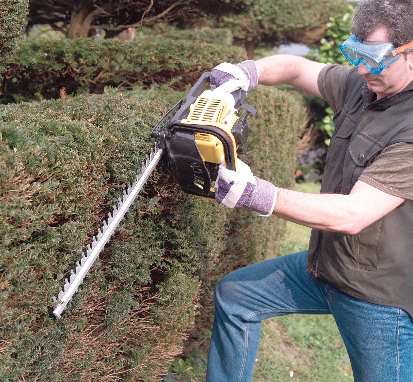 Petrol Hedge Trimmer