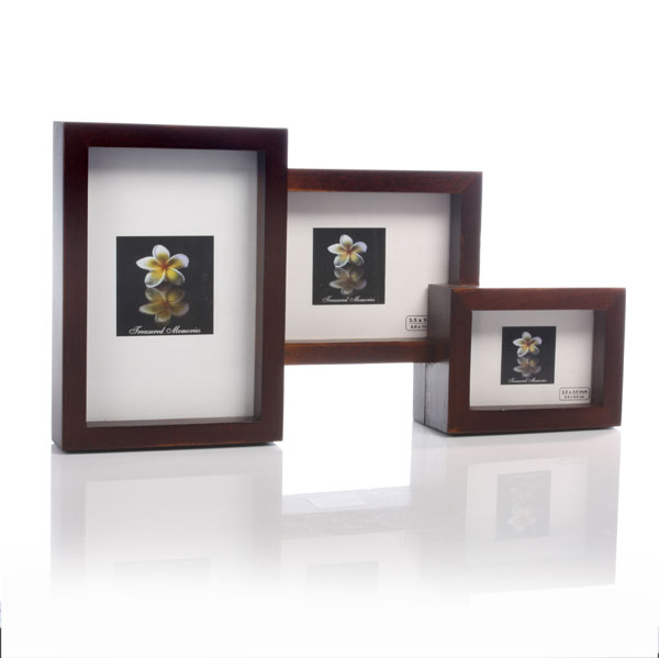 Triple Photo Frame