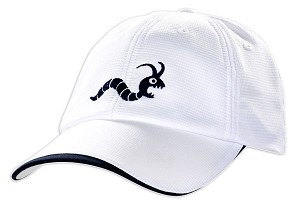 FlexiFit Cap