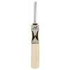 WOODWORM Gold Satellite Adult Cricket Bat