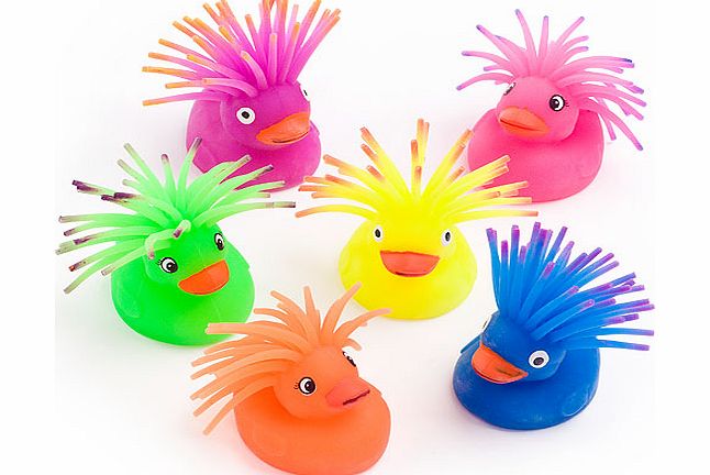 Funky Ducks - Pack of 6