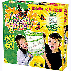 Live! Butterfly Garden