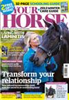 Your Horse Six Months Direct Debit   Hyviz Set -